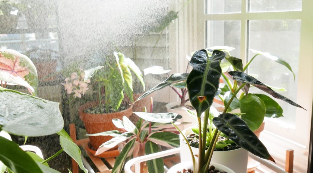 nappali virágokkal és műanyag ablak
